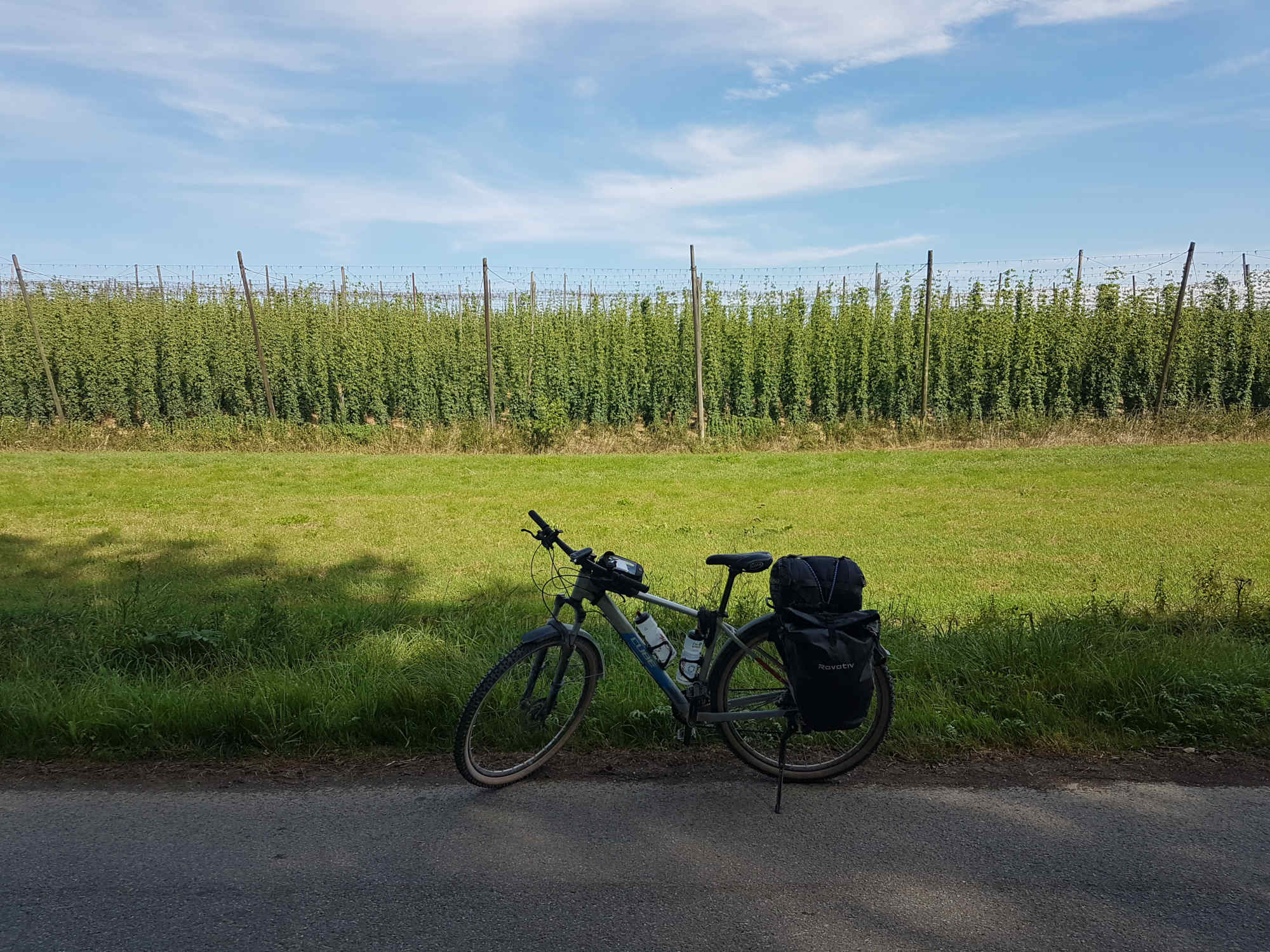 Hallertau