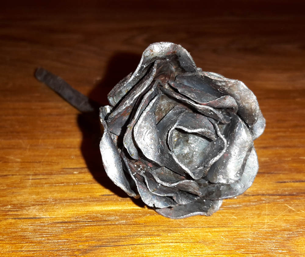 Rose Blüte