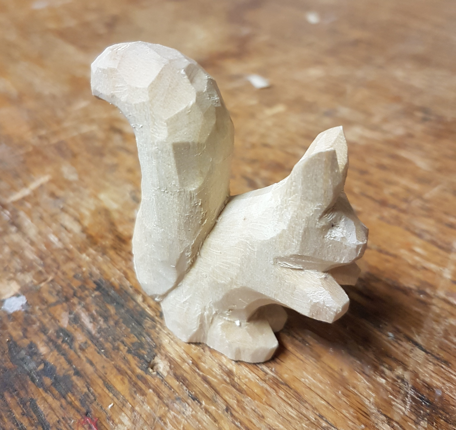 Eichhörnchen fertig
